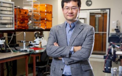 NSF CAREER Award for Xiaoqing Song